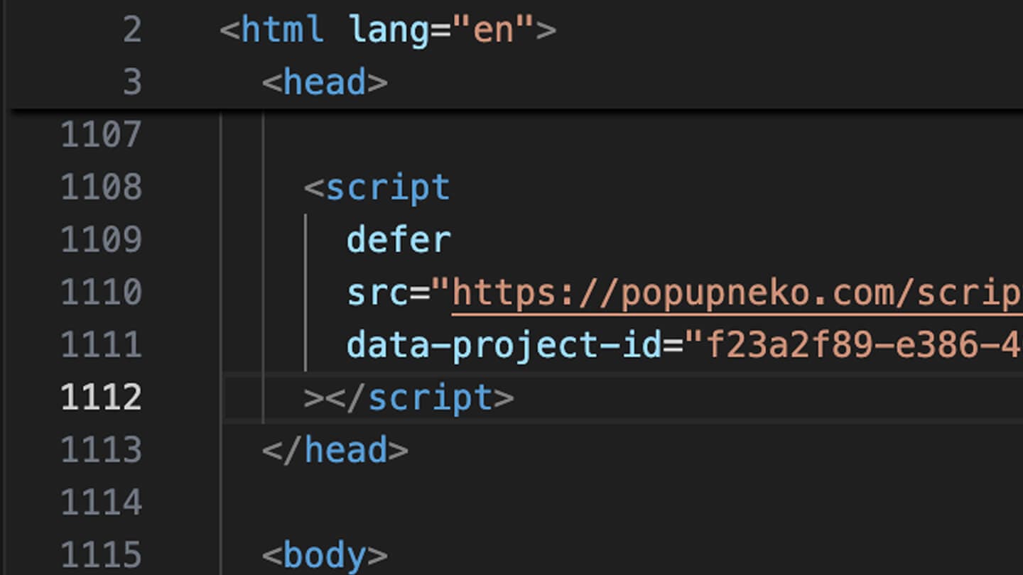 Install PopupNeko script on your site once | PopupNeko